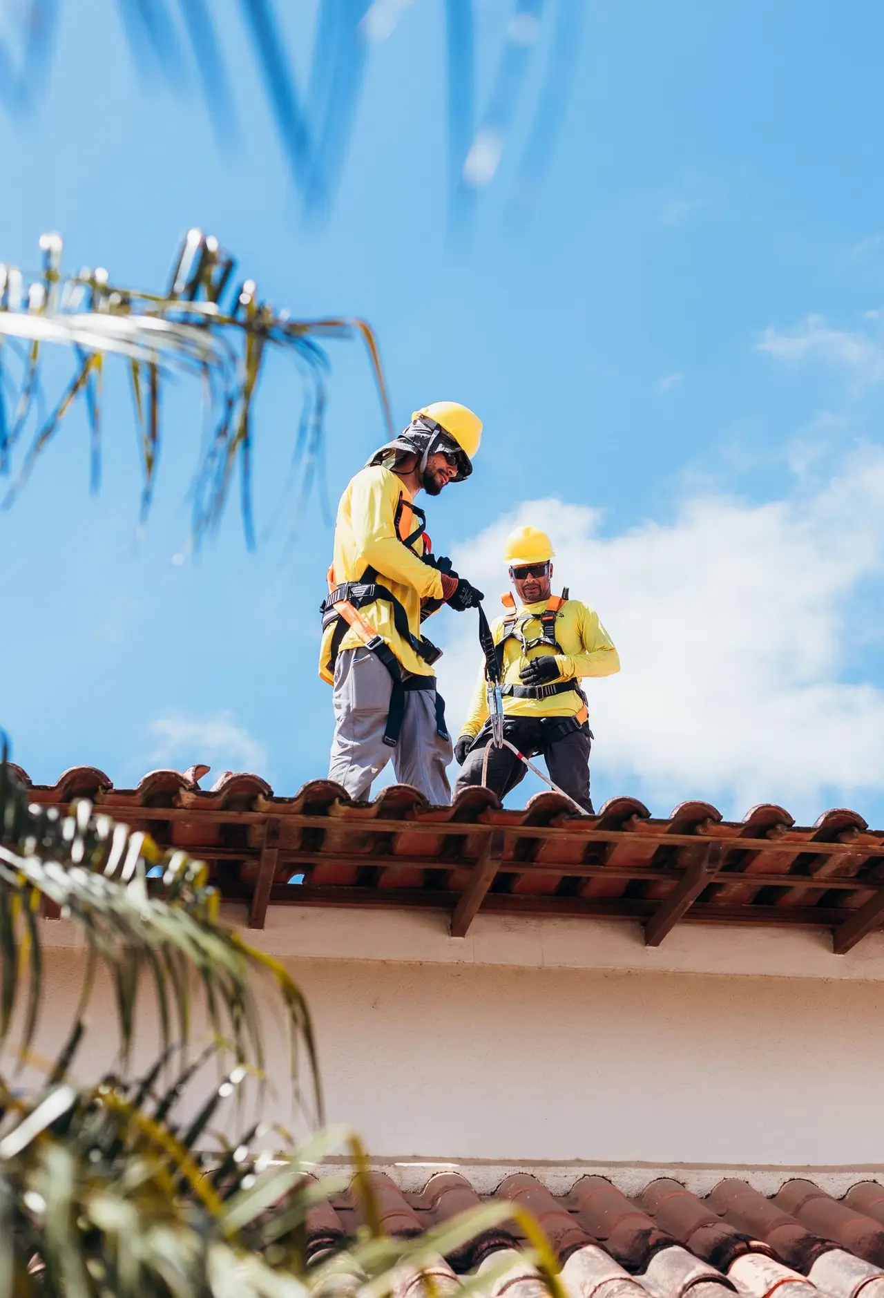 Two roofers on a tile roof beside a palm